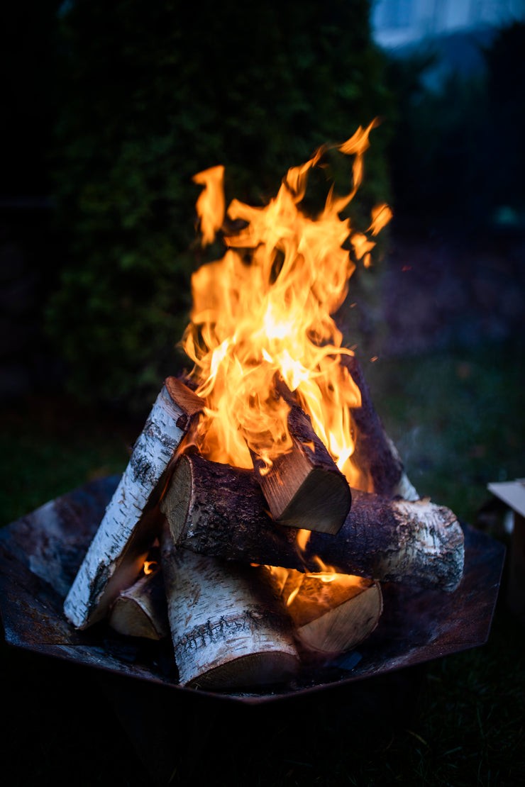 Burning firewood firepit stove birch logs